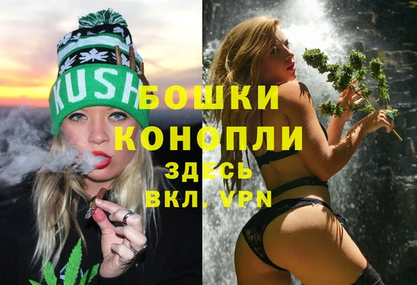ГАЛЛЮЦИНОГЕННЫЕ ГРИБЫ Бородино