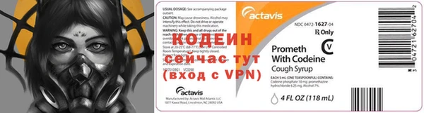 ГАЛЛЮЦИНОГЕННЫЕ ГРИБЫ Бородино