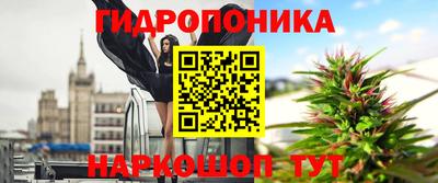 apvp Холмск