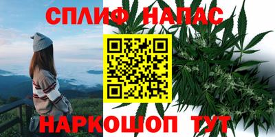 СК Белореченск