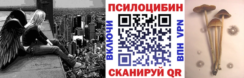 Галлюциногенные грибы GOLDEN TEACHER  мориарти клад  Верхняя Пышма 