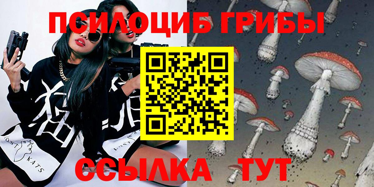 Галлюциногенные грибы Cubensis Верхняя Пышма