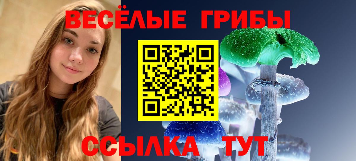 Псилоцибиновые грибы Cubensis  Галлюциногенные грибы мицелий  Верхняя Пышма  Вход с VPN 